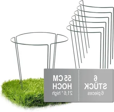 Produktbild von Famanu Pflanzenhalter Set 6 Stück - 55 cm Höhe - Halbrunde Pflanzenstütze