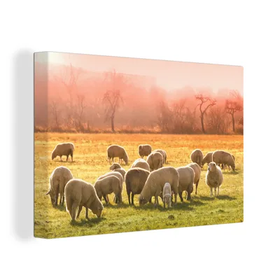Produktbild von OneMillionCanvasses® - Leinwandbilder - 150x100 cm, Tiere - Schafe - Gras, Wandbilder Kunstdruck Wanddekoration