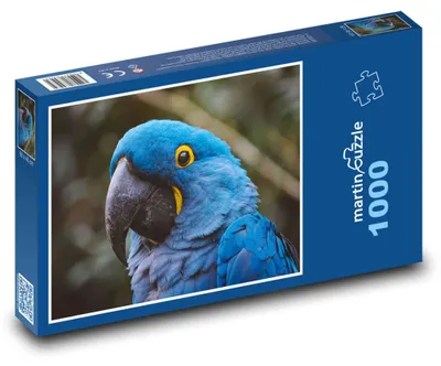 Obrázek produktu pro martinpuzzle - Puzzle 1000 - Papoušek