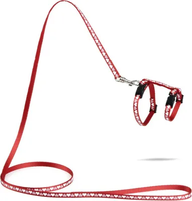 Produktbild von Beeztees Hearts - Kätzchengeschirr - rot - 120 cm x 10 mm