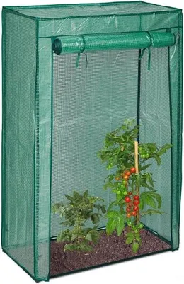 Image de Culture de tomates en serre