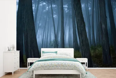 Produktbild von MuchoWow® Fototapete für Wohnzimmer oder Schlafzimmer Wandtapete Vinyl Motivtapete Nebel zwischen Bäumen in einem Wald - 390x260 cm - Papiertapete