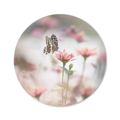 Produktbild von MuchoWow® Mauspad Mousepad Schmetterling - Blume - Rosa 30x30 cm - Mousepads - Maus Mat - Pad - Mausunterlage - Tischunterlage - Schreibtischmatten