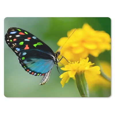 Produktbild von MuchoWow® Mauspad Mousepad Schmetterling - Blume - Tier - Insekt 40x30 cm - Mousepads - Maus Mat - Pad - Mausunterlage - Anti Rutsch