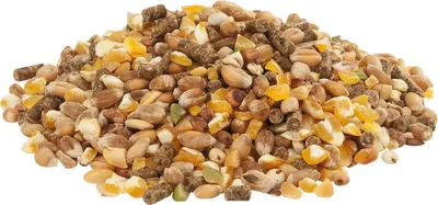 Produktbild von Versele-Laga Country's Best Gold 4 Mix 20kg Komplettes Futter Legehennen, Hühner, Geflügel