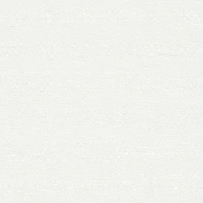 Produktbild von A.S. Creation | Premium Wall 2 | 389731 | Vliestapete | Einfarbig | 10.05 x 0.53 m | Weiß | Wohnzimmer | Flur | Büro | Küche | Wohnräume