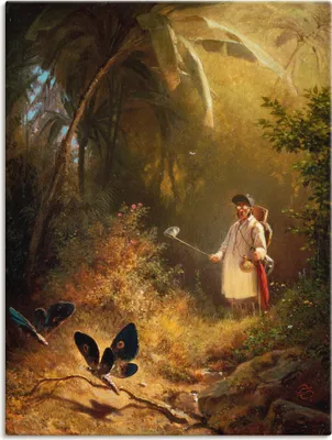 Produktbild von ARTland Leinwandbild Der Schmetterlingsfänger Größe: 30x40 cm