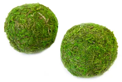 Productafbeelding van 2 decoratieve mosbollen, groen, 7 cm, tafeldecoratie - universele maat