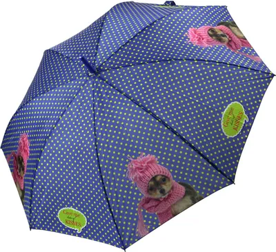 Produktbild von Perletti Regenschirm Stockschirm Automatik Blau Damen Hund Wollmütze Schal