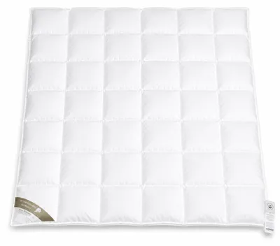 Produktbild von Hofmann Franken Daunenbett Daunendecke 6x7, 240x220   5 cm Außensteg 100% Daunen