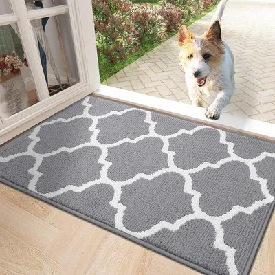 Produktbild von Famanu Türmatte Antirutsch 50 x 80 cm - Pflegeleichte Schmutzfangmatte für Innen und Außen