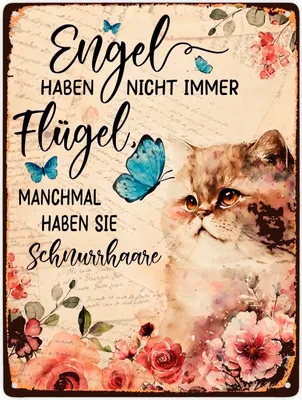 Produktbild von Katzen sind Engel Metallschild XXL in 28x38 cm mit Spruch für Katzenbesitzer