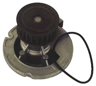 Obrázok produktu pre TRISCAN 8600 24010 Vodné čerpadlo