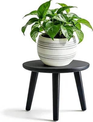 Immagine prodotto di Supporto per piante in legno, 28 x 22 cm, portavaso rotondo, piedistallo per vasi con 3 gambe, ideale per balconi, panchine decorative, interni ed esterni