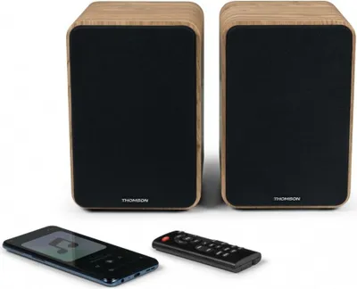 Immagine prodotto di Thomson WS602DUO altoparlante 1-via Legno Cablato 30 W