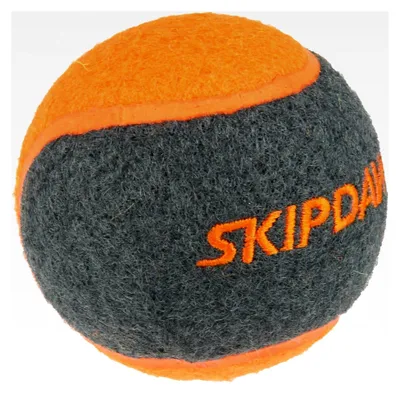 Produktbild von Hundeball Tennisball mit Quietscher 4er Set für Ballschleuder