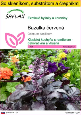 Obrázok produktu pre SAFLAX Kultivačný set - Bazalka červená - Ocimum basilicum - 200 Semená - S mini skleníkom, pestovateľským substrátom a 2 črepníkmi