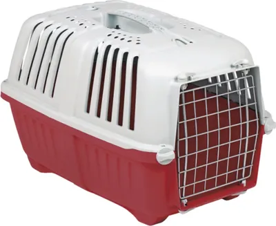 Image de Boîte de transport "PRATIKO 2 METAL" Display 10 St., 55 x 36 x 36 cm