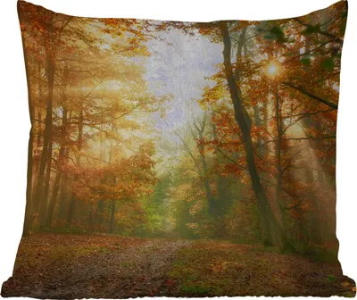 Produktbild von MuchoWow® Outdoor Kissen - Wald - Herbst - Sonne - Landschaft - Natur - Bäume - Laub - 45x45 cm - Wetterfest - Lounge Kissen - Fotokissen - Dekoratives Kissen