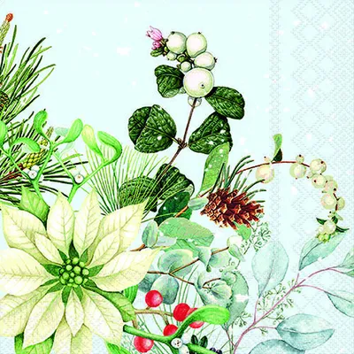 Produktbild von Weihnachten Servietten 33x33 cm 20 Servietten White poinsettia Weihnachtsstern weiss