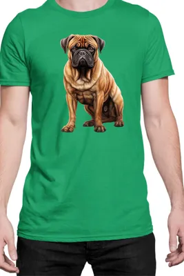 Immagine prodotto di Maglietta da uomo Dogs Breeds Bullmastiff Dog Breed 006, Man M , Vert