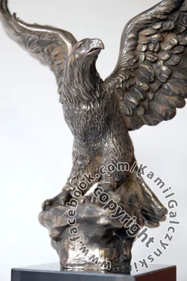Image de Aigle - sculpture, figurine en bronze, réalisée par un artiste polonais, marque Art-Dog