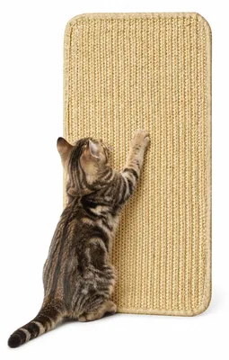 Image de Griffoir pour chats, tapis en sisal de 25 x 50 cm