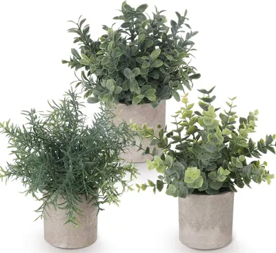 Produktbild von 3 Stücke Künstliche Pflanzen Mini Kunstpflanzen Echt Eukalyptus Rosmarin Babysbreath Kleine mit Töpfen Tischdeko Haus Balkon Büro Deko