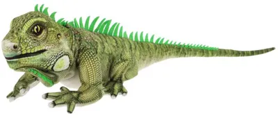 Produktbild von Keel Toys Plusch-Leguan - Pluschtier - grun - stehend - 65 cm - Plusch-Leguan