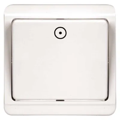 Image de Interrupteur STANDARD 4FN57512.2101C.1/0 B 70710