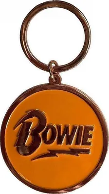 Produktbild von David Bowie Circle Logo Schlüsselanhänger