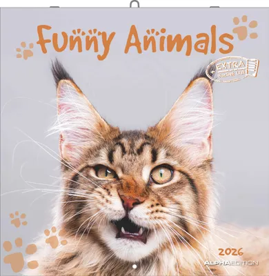 Immagine prodotto di Animali divertenti 2026 - Calendario da parete - Calendario a brochure - 30x30 - 30x60 aperto