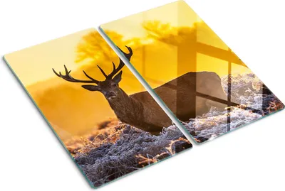Obrázek produktu pro Kryt varné desky – Kryt na indukční desku – Ochranná skleněná deska – 2x30x52 cm– Skleněné ochranné desky na sporák –Tvrzené sklo –Východ slunce nad jelenem