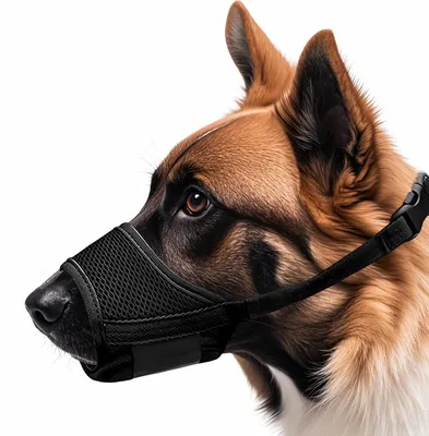 Produktbild von Maulkorb für Hunde, verstellbar, atmungsaktiv, Nylon, Netzstoff, Schwarz, Größe L