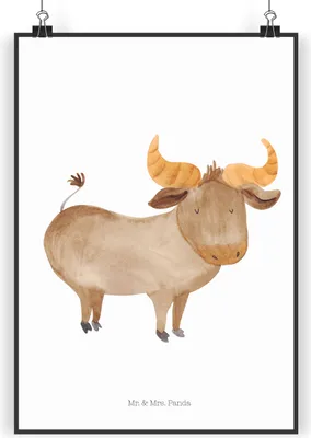Produktbild von Mr. & Mrs. Panda Bild Sternzeichen Stier DIN A4 - Weiß - Geschenk, Wandbild, wanddeko, Ochse, Kunstdruck, Rind, Plakat, Geburtstag April, drucke, Mai