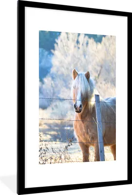 Produktbild von MuchoWow® Gerahmtes Poster Pferd - Winter - Schnee 60x90 cm - Poster mit Schwarzem Bilderrahmen Wandposter Rahmen Foto Bilder - Dekoration - Wandposter Wohnzimmer - Hochwertig