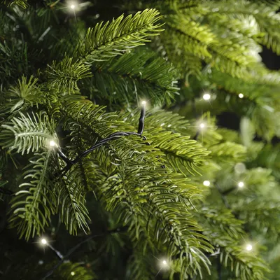 Immagine prodotto di Luci LED da fata, bianco caldo, 180 luci, 13,5 m per interni/esterni, illuminazione a risparmio energetico, decorazioni per feste, giardino