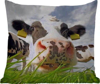 Produktbild von MuchoWow® Outdoor Kissen - Kuh - Bauernhof - Gras - Tiere - 40x40 cm - Wetterfest - Lounge Kissen - Kopfkissen - Interieur - Polster mit Bild