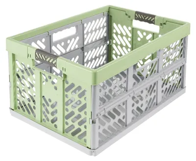 Immagine prodotto di keeeper 1022531900000 keeeper Profi-Klappbox "eco Ben", 45 litri, verde erba