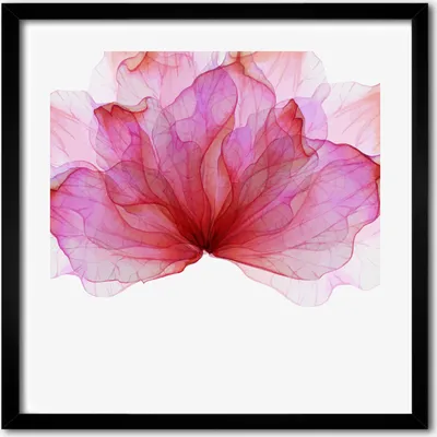 Produktbild von Bild - 50 cm x 50 cm - MDF - Rahmen, Wandkunst - Rosa Blume