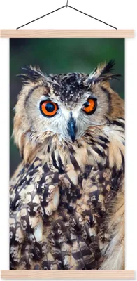 Produktbild von MuchoWow® Textilposter Eule 60x120 cm mit holzfarbenen Rahmen - Holz