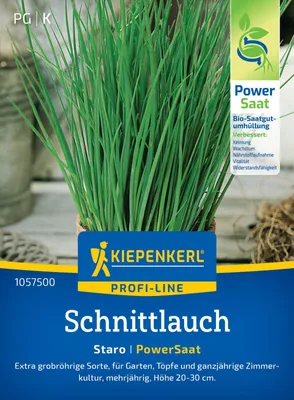 Artikelbild 2 von 'Schnittlauch Staro (PowerSaat)' aus der Kategorie Schnittlauchsamen