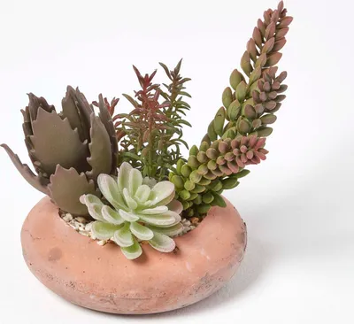 Obrázek produktu pro HOMESCAPES Umělé aranžmá sukulentů v terakotovém květináči, výška 15 cm