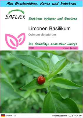 Produktbild von SAFLAX - Geschenk Set - Kräuter - Limonen Basilikum - 200 Samen - Mit Geschenk- / Versandbox, Versandaufkleber, Geschenkkarte und Anzuchtsubstrat - Ocimum citriodorum