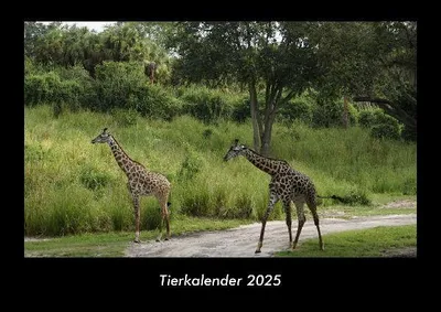 Produktbild von Tierkalender 2025 Fotokalender DIN A3