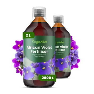 Produktbild von Afrikanisches Veilchen Flüssigdünger 2x1L – 3-4-3 NPK – Flüssigdünger Zimmerpflanzen – Fördert Reichhaltige Blüten & Blattgesundheit – Organifer