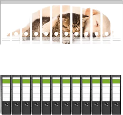Produktbild von Wallario 12 Stück breite Ordner inkl. Klebeetiketten mit Motive Katze und Hund in Harmonie - Kuschelnde Tiere -  Set mit Rückenschildern / Ordnerrücken Stickern