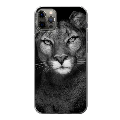 Produktbild von MuchoWow® Handyhülle Schutzhülle Hülle für iPhone 12 Pro Max Porträtfoto eines Pumas auf schwarzem Hintergrund Silikon Softcase Handy Hülle - Hartschale