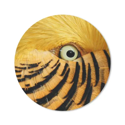 Produktbild von MuchoWow® Mauspad Mousepad Nahaufnahme des Auges eines Vogels mit gelben Federn und schwarzen Streifen 30x30 cm - Mousepads - Maus Mat - Pad - Mausunterlage - Tischunterlage - Schreibtischmatten