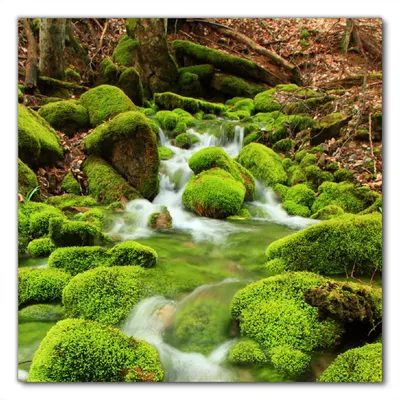 Produktbild von Wallario selbstklebende Möbelfolie/ Tischdecke für Innen und Außen, Größe: 80 x 80 cm - Moosiger Bach